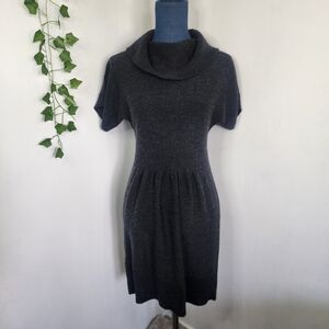 Ann Taylor LOFT Merino Wool Cowl Neck Sweater Dress
